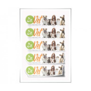 ADESIVOS FOLHA 330X480MM COM CORTE ESPECIAL VINIL BRANCO Colorido frente - 25 un.