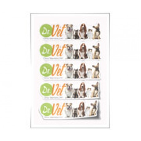 ADESIVOS FOLHA 330X480MM COM CORTE ESPECIAL VINIL BRANCO Colorido frente - 25 un.