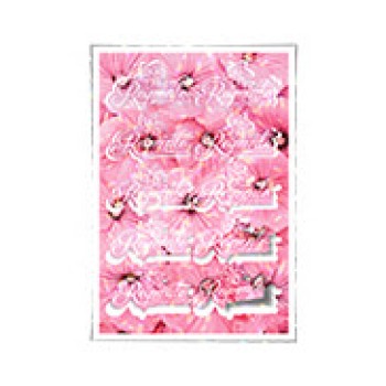 ADESIVOS FOLHA 330X480MM COM CORTE ESPECIAL VINIL BRANCO COM LAM HOLOGRÁFICA Colorido frente - 25 un.