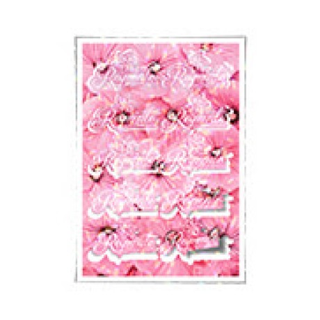 ADESIVOS FOLHA 330X480MM COM CORTE ESPECIAL VINIL BRANCO COM LAM HOLOGRÁFICA Colorido frente - 25 un.