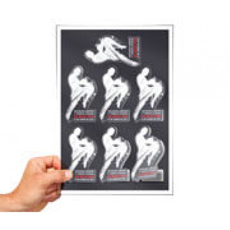ADESIVOS FOLHA 330X480MM COM CORTE ESPECIAL VINIL TRANSPARENTE Colorido frente - 10 un.