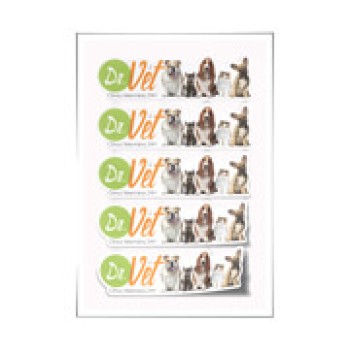 ADESIVOS FOLHA 330X480MM VINIL BRANCO Colorido frente - 25 un.