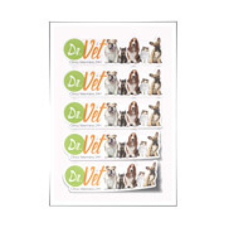 ADESIVOS FOLHA 330X480MM VINIL BRANCO Colorido frente - 25 un.
