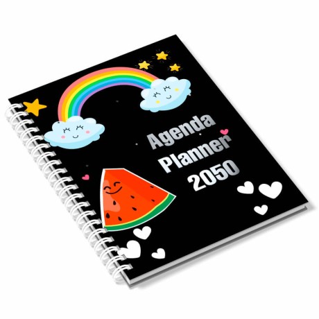 AGENDA 2024 AGENDA PLANNER LAM FOSCA E HOT STAMPING 150X210MM 25 un. - Colorido frente