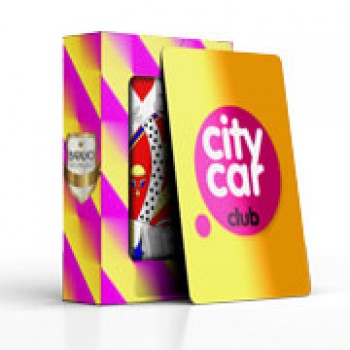 BARALHO SIMPLES 54 CARTAS COM CAIXA PERSONALIZADA PVC PREMIUM 0,50 COM VERNIZ UV TOTAL Colorido frente e verso - 25 un.