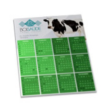 CALENDÁRIOS E FOLHINHAS 2024 FOLHINHA DE PAREDE SUPREMO 250G VERNIZ TOTAL FRENTE 196X270MM