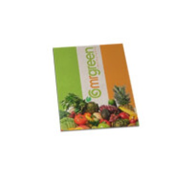 CARDÁPIOS DESCARTÁVEIS RECICLATO 250G 150X210MM Colorido frente - 50 un.