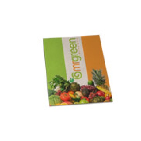 CARDÁPIOS DESCARTÁVEIS RECICLATO 250G 150X210MM Colorido frente - 50 un.