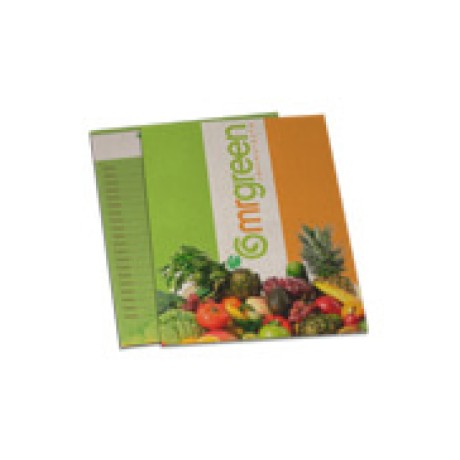 CARDÁPIOS DESCARTÁVEIS RECICLATO 250G 150X210MM Colorido frente e verso - 50 un.