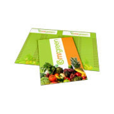CARDÁPIOS CARDÁPIOS PERSONALIZADOS 4 PÁGINAS COM DOBRA COUCHÊ 300G 300X210MM Colorido frente e verso - 200 un.