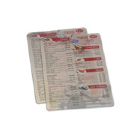 CARDÁPIOS CARDÁPIOS PERSONALIZADOS PVC PVC 0,30MM TRANSLÚCIDO TINTA BRANCA 150X210MM Colorido frente - 48 un.