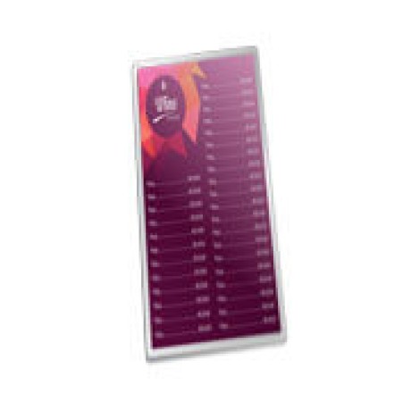 CARDÁPIOS PLASTIFICADOS PLASTIFICAÇÃO RÍGIDA 0,10MM 105X300MM Colorido frente - 8 un.