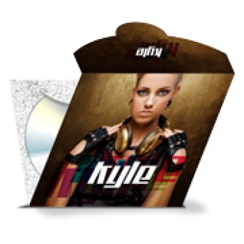 CD E DVD ENVELOPE ENCAIXE SIMPLES COUCHÊ 250G VERNIZ UV TOTAL F Colorido frente e preto e branco verso - 2000 un.