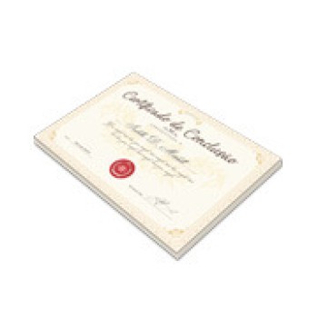 CERTIFICADOS 300X210MM COUCHÊ 300G SEM VERNIZ Colorido frente - 2 un.