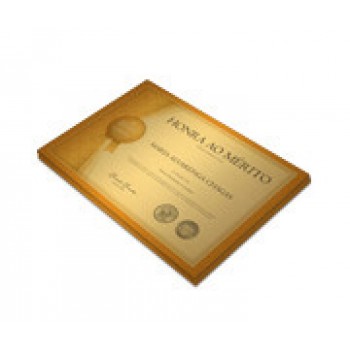 CERTIFICADOS 300X210MM GOLD MASTER 300G Colorido frente - 20 un.