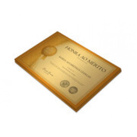 CERTIFICADOS 300X210MM GOLD MASTER 300G Colorido frente - 20 un.