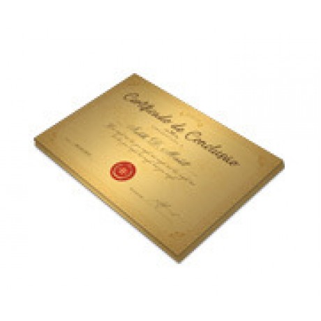 CERTIFICADOS 300X210MM GOLD MASTER 300G Colorido frente - 2 un.