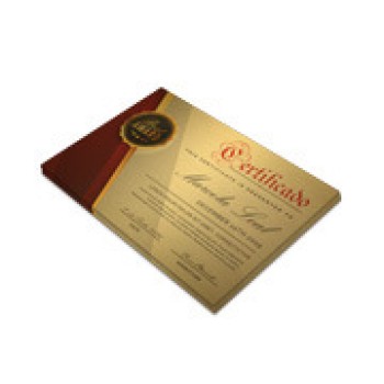 CERTIFICADOS 300X210MM GOLD MASTER 300G Colorido frente - 50 un.