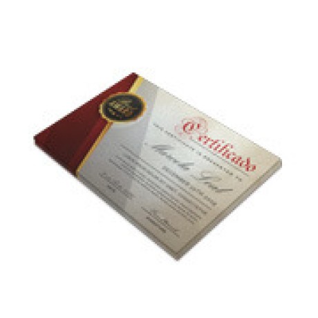 CERTIFICADOS 300X210MM PERO PLUS 300G SEM VERNIZ Colorido frente - 50 un.