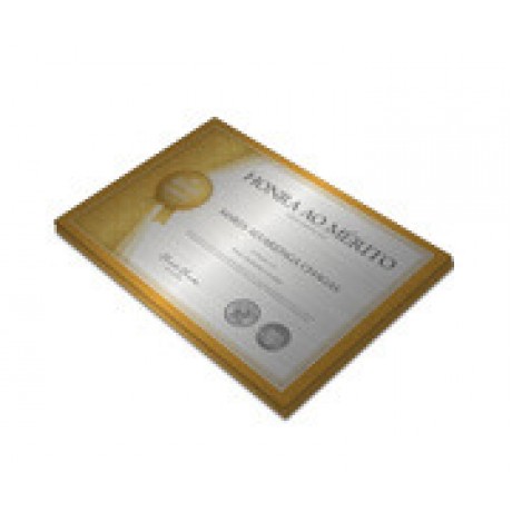 CERTIFICADOS 300X210MM SILVER LUX 300G Colorido frente - 20 un.