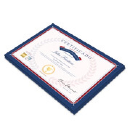 CERTIFICADOS 420X300MM COUCHÊ 300G SEM VERNIZ Colorido frente - 25 un.
