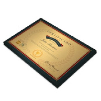 CERTIFICADOS 420X300MM GOLD MASTER 300G Colorido frente - 25 un.