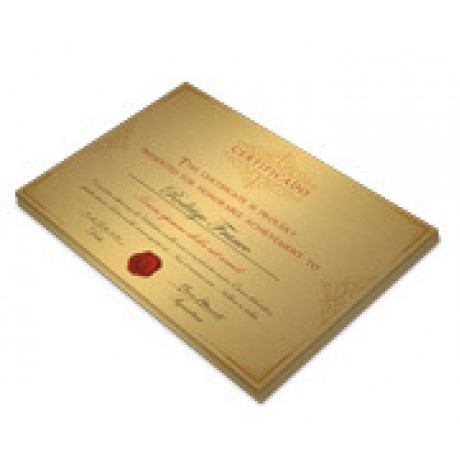 CERTIFICADOS 420X300MM GOLD MASTER 300G Colorido frente - 5 un.