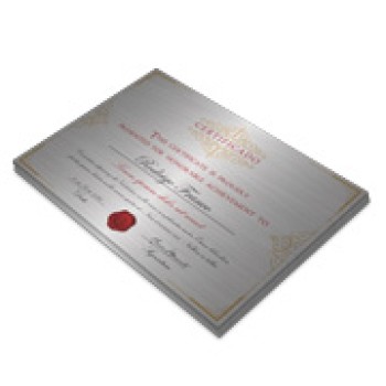 CERTIFICADOS 420X300MM SILVER LUX 300G Colorido frente - 5 un.