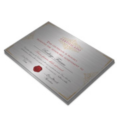 CERTIFICADOS 420X300MM SILVER LUX 300G Colorido frente - 5 un.