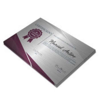 CERTIFICADOS 420X300MM SILVER LUX 300G Colorido frente - 10 un.