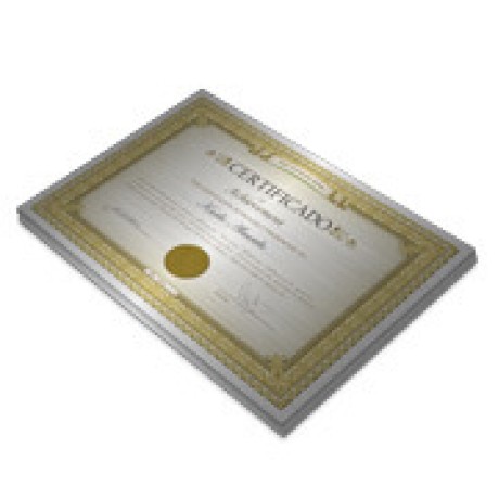 CERTIFICADOS 420X300MM SILVER LUX 300G Colorido frente - 50 un.