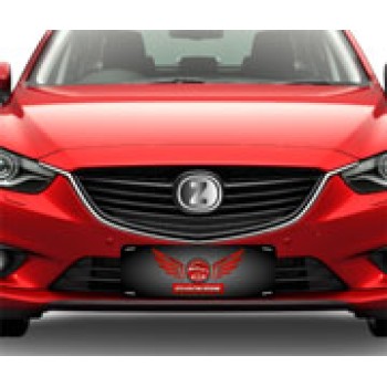 COBRE PLACA PARA CARROS COUCHÊ 275G