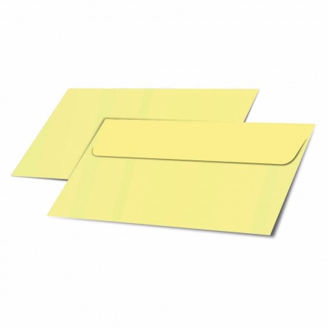 ENVELOPES PADRÃO APERGAMINHADO 75G CARTA 230X115MM 100 un.