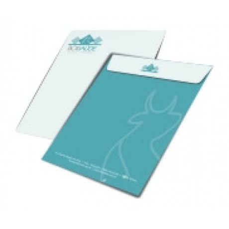 ENVELOPES PERSONALIZADOS APERGAMINHADO 90G MEIO SACO 166X240MM Colorido frente - 10 un.