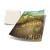 PANFLETOS, FLYERS E FOLHETOS RECICLATO 90G 300X210MM