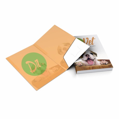 PASTAS COUCHÊ 250G BOLSA COLADA VERNIZ UV TOTAL FRENTE Colorido frente e verso - 25 un.