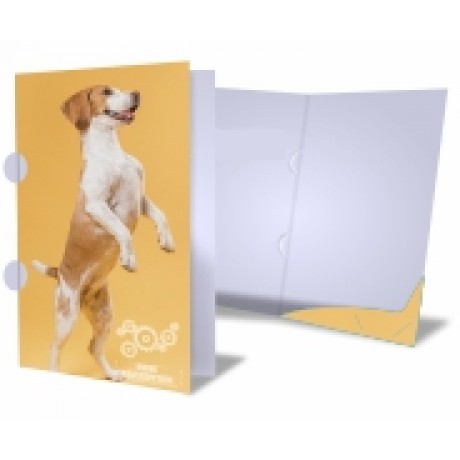 PASTAS COUCHÊ 250G ORELHA E BOLSA ENCAIXE VERNIZ UV TOTAL FRENTE Colorido frente - 5000 un.