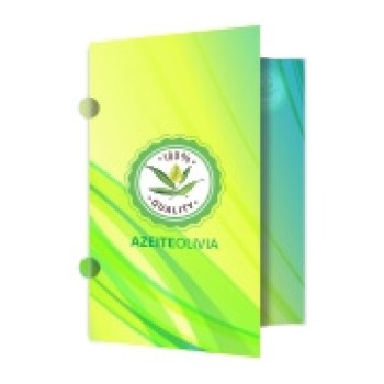 PASTAS COUCHÊ 275G ORELHA VERNIZ UV TOTAL FRENTE Colorido frente e verso - 250 un.