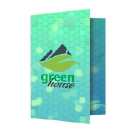 PASTAS COUCHE 275G VINCO LAMINACAO FOSCA Colorido frente e verso - 50 un.