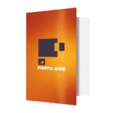 PASTAS COUCHÊ 275G VINCO LAMINAÇÃO FOSCA Colorido frente - 10 un.