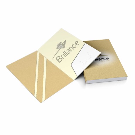 PASTAS COUCHÊ 300G BOLSA COLADA LAM FOSCA FR E HOTSTAMPING FR Colorido frente e verso - 100 un.
