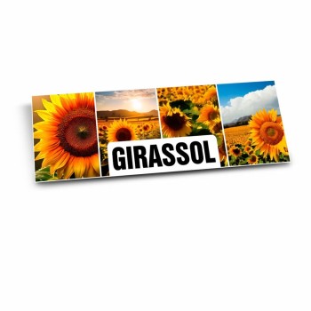 PLACA IMOBILIÁRIA PSAI 1MM 300X120MM Colorido frente - 25 un.