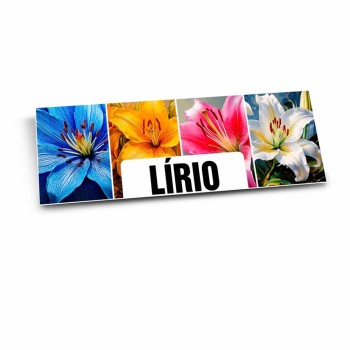 PLACA IMOBILIÁRIA PSAI 1MM 300X120MM Colorido frente - 10 un.