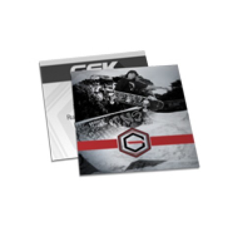 POSTAIS PAPÉIS ESPECIAIS METALIZADO FRENTE 250G SEM VERNIZ 91X102MM Colorido frente e preto e branco verso - 100 un.