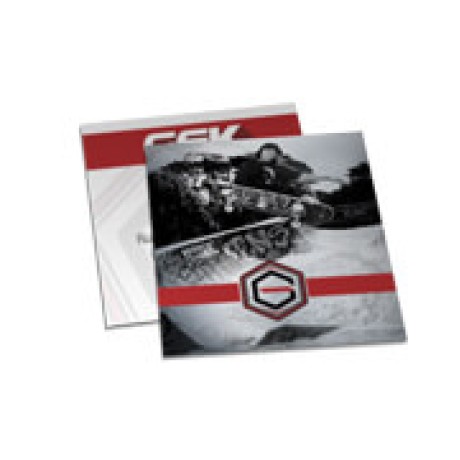 POSTAIS PAPÉIS ESPECIAIS METALIZADO FRENTE 250G SEM VERNIZ 91X102MM Colorido frente e verso - 50 un.