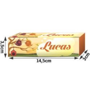 PRODUTOS PARA FESTA CAIXA PARA BISNAGA COUCHÊ 275G Colorido frente - 25 un.