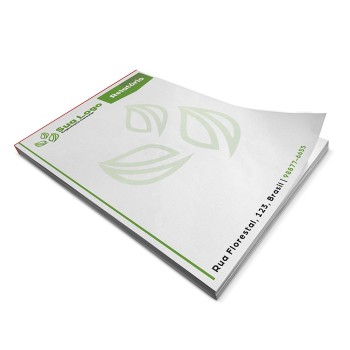 RECEITUÁRIOS APERGAMINHADO  90G 300X210MM Colorido frente - 2500 un.