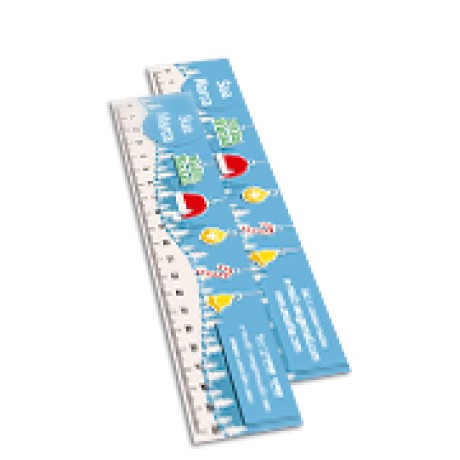 RÉGUAS PVC 0,30MM PVC TRANSPARENTE RETANGULAR 20CM Colorido frente - 24 un.