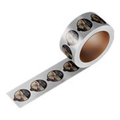 RÓTULO BOBINA BOPP METALIZADO COM TINTA BRANCA 85X105MM Colorido frente - 1000 un.