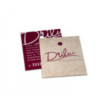 TAGS TAGS ESPECIAIS RECICLATO 250G SEM VERNIZ 45X51MM Colorido frente e verso - 500 un.